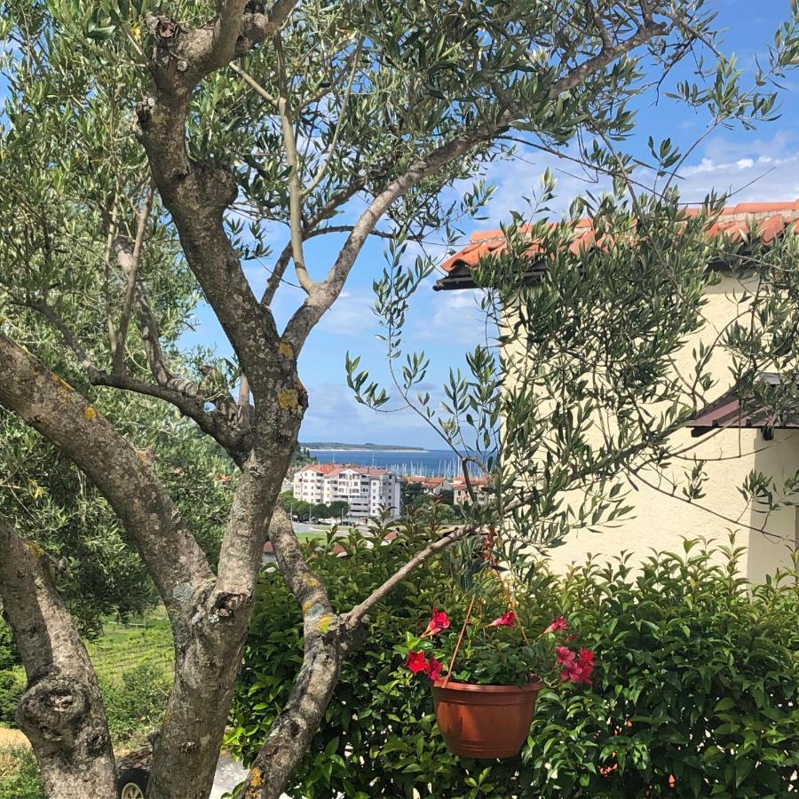 Residence Villa Fiore Portoroz Bagian luar foto