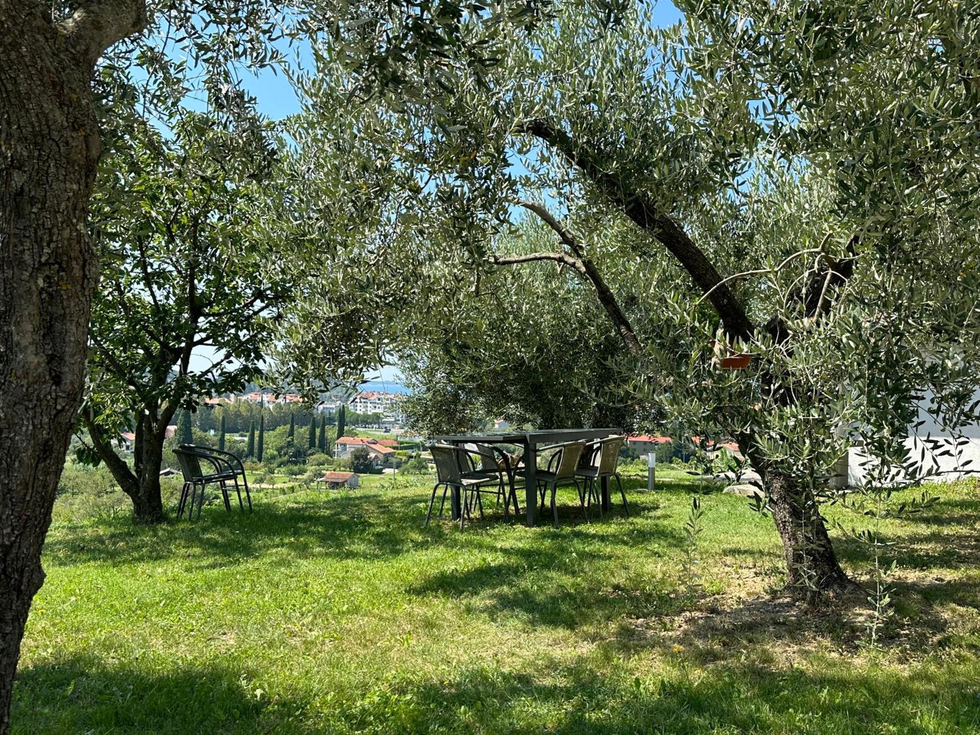 Residence Villa Fiore Portoroz Bagian luar foto